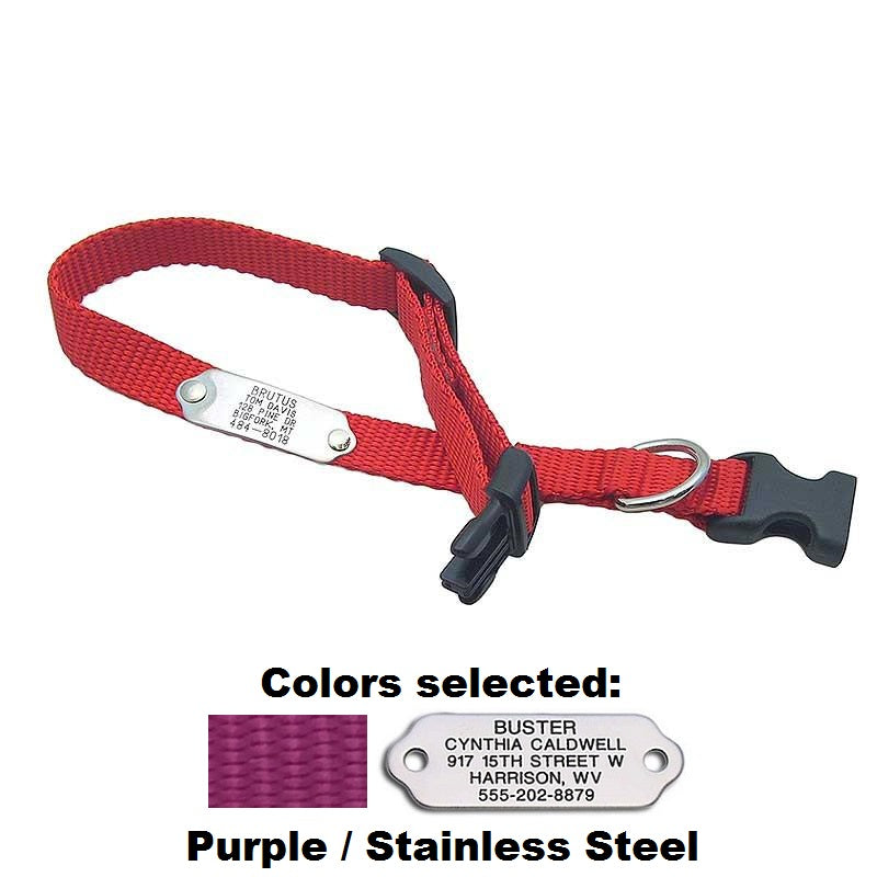 Rivet ID Collar for Dogs, - Lucky Pet